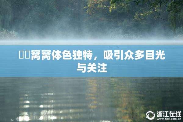 妺妺窝窝体色独特，吸引众多目光与关注