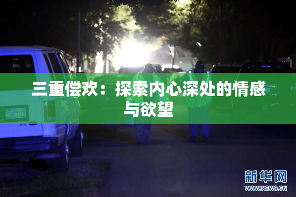 三重偿欢：探索内心深处的情感与欲望