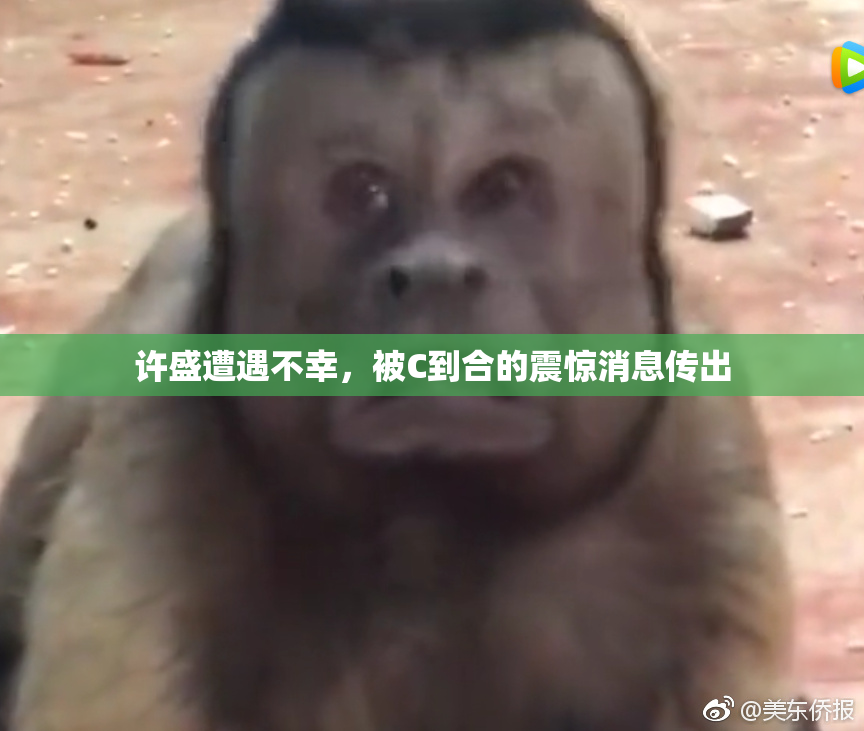 许盛遭遇不幸，被C到合的震惊消息传出