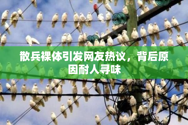 散兵裸体引发网友热议，背后原因耐人寻味