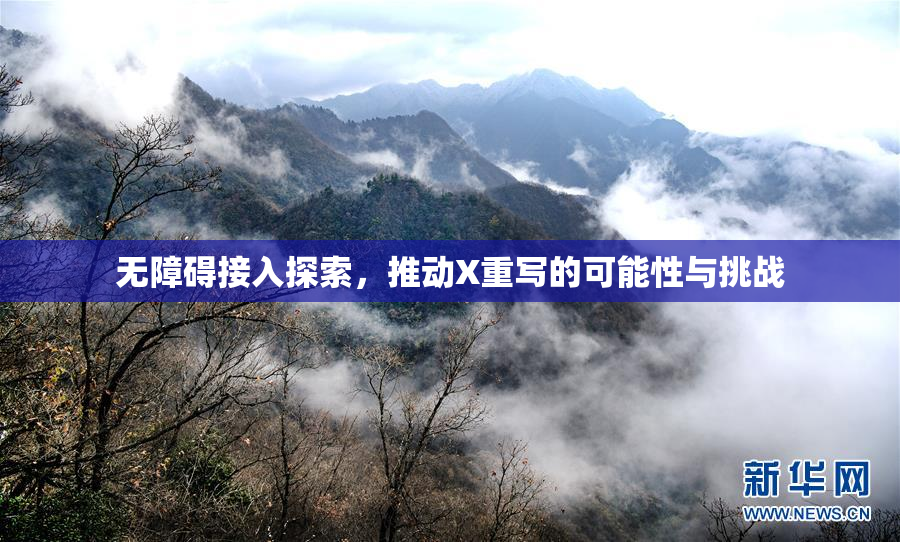 无障碍接入探索，推动X重写的可能性与挑战