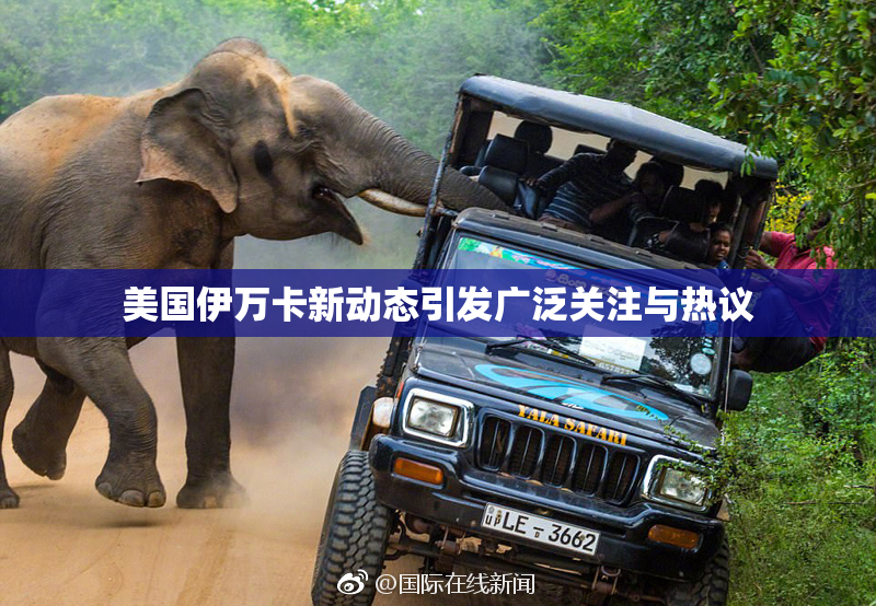 美国伊万卡新动态引发广泛关注与热议