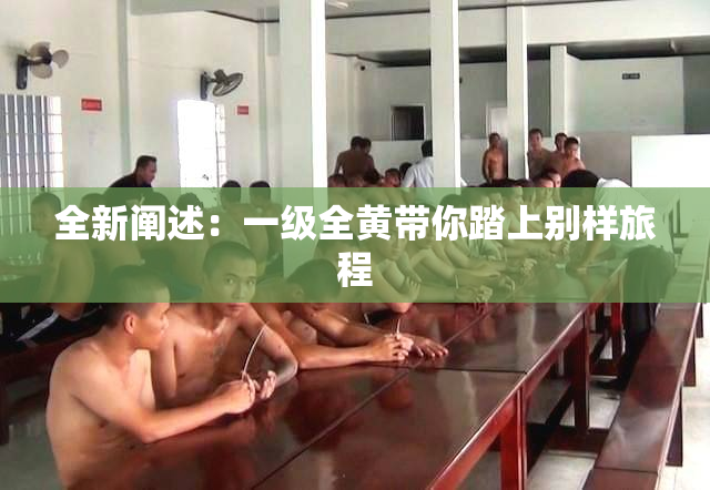 全新阐述：一级全黄带你踏上别样旅程