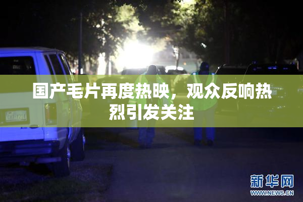 国产毛片再度热映，观众反响热烈引发关注