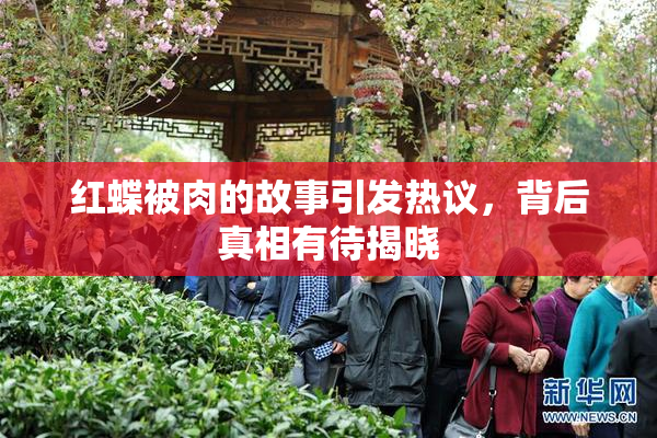 红蝶被肉的故事引发热议，背后真相有待揭晓