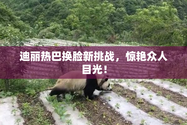 迪丽热巴换脸新挑战，惊艳众人目光！