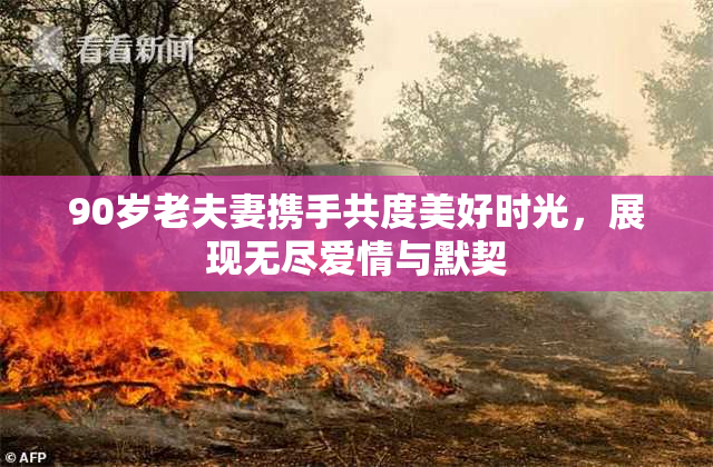 90岁老夫妻携手共度美好时光，展现无尽爱情与默契
