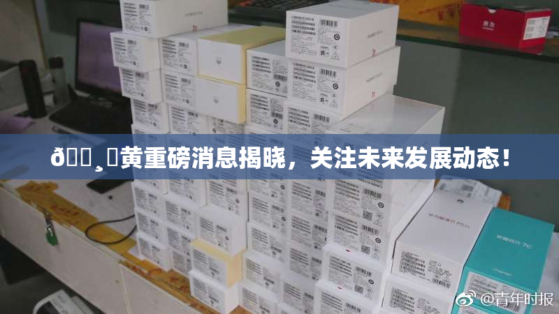 🌸‌黄重磅消息揭晓，关注未来发展动态！