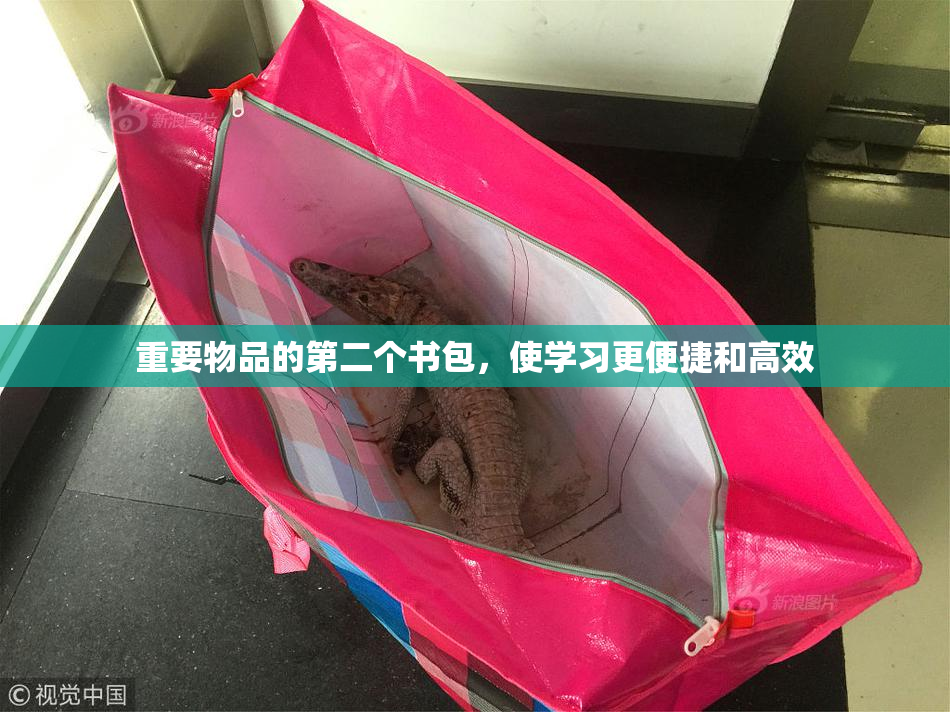 重要物品的第二个书包，使学习更便捷和高效