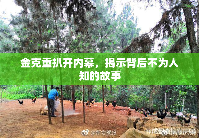 金克重扒开内幕，揭示背后不为人知的故事