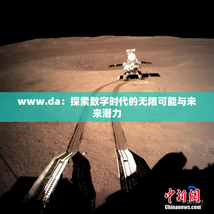 www.da：探索数字时代的无限可能与未来潜力
