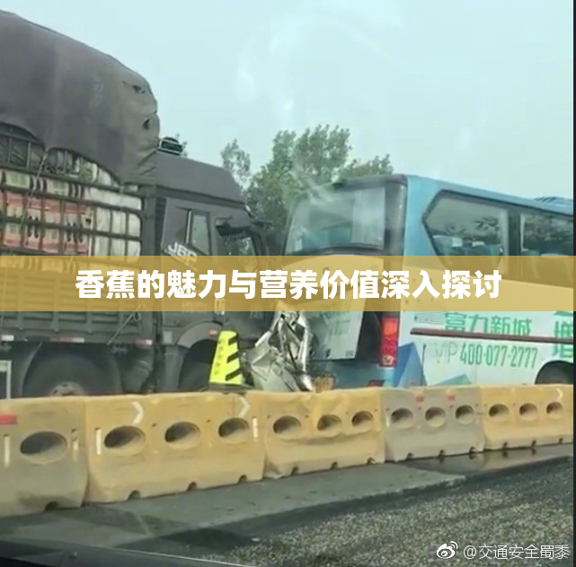 香蕉的魅力与营养价值深入探讨