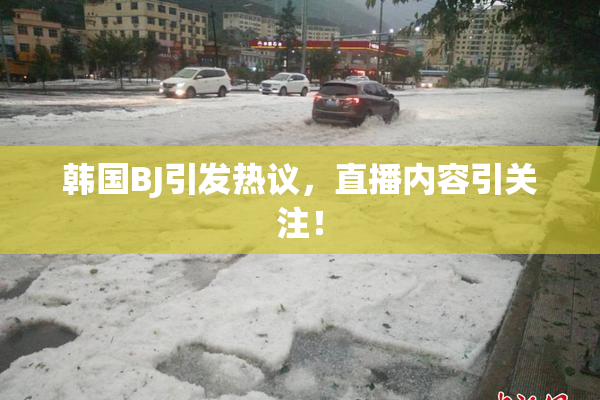 韩国BJ引发热议，直播内容引关注！
