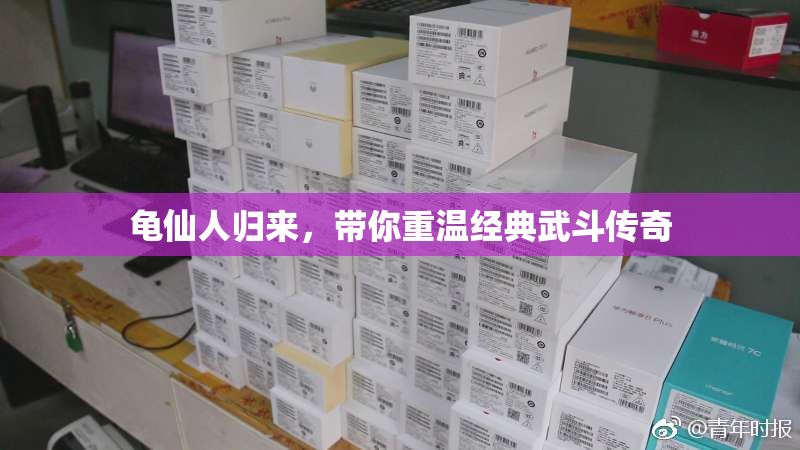 龟仙人归来，带你重温经典武斗传奇