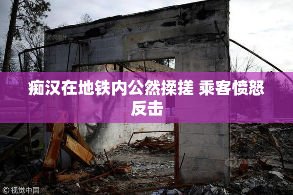 痴汉在地铁内公然揉搓 乘客愤怒反击