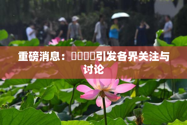 重磅消息：馃悢馃悢引发各界关注与讨论