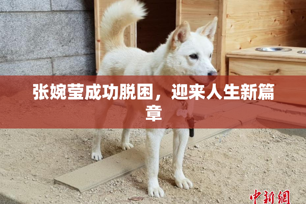 张婉莹成功脱困，迎来人生新篇章