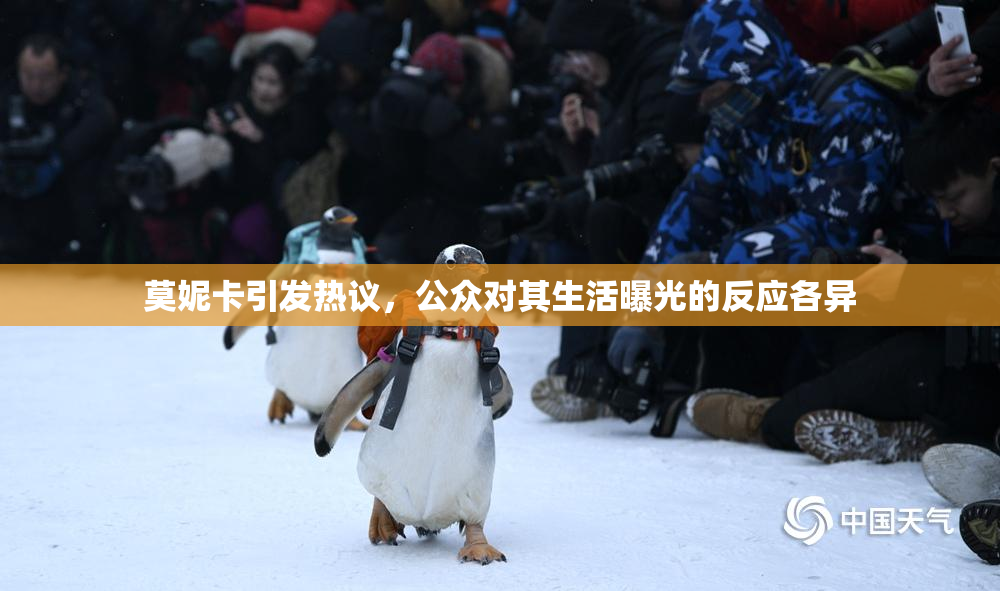 莫妮卡引发热议，公众对其生活曝光的反应各异
