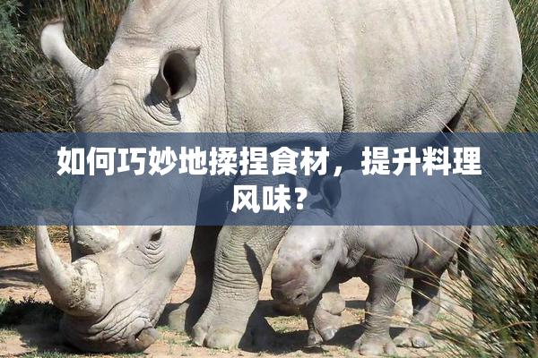 如何巧妙地揉捏食材，提升料理风味？