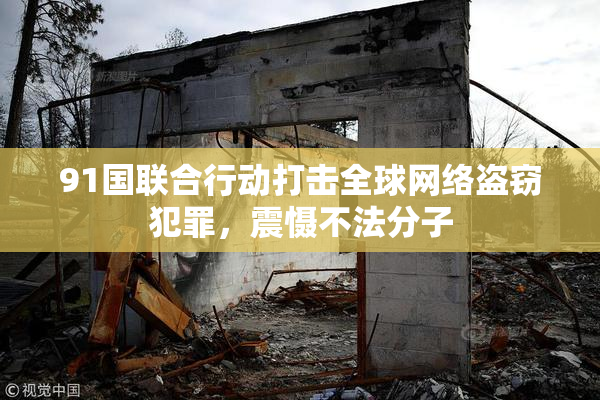 91国联合行动打击全球网络盗窃犯罪，震慑不法分子