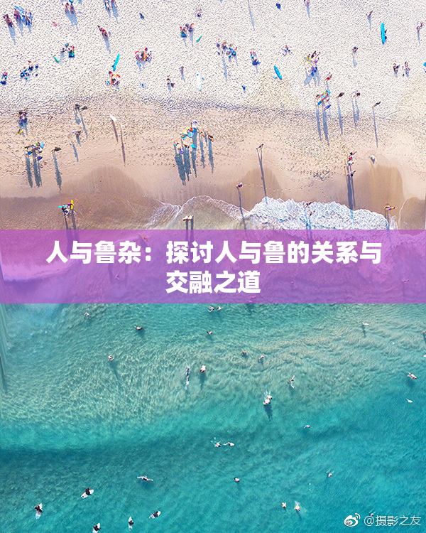 人与鲁杂：探讨人与鲁的关系与交融之道