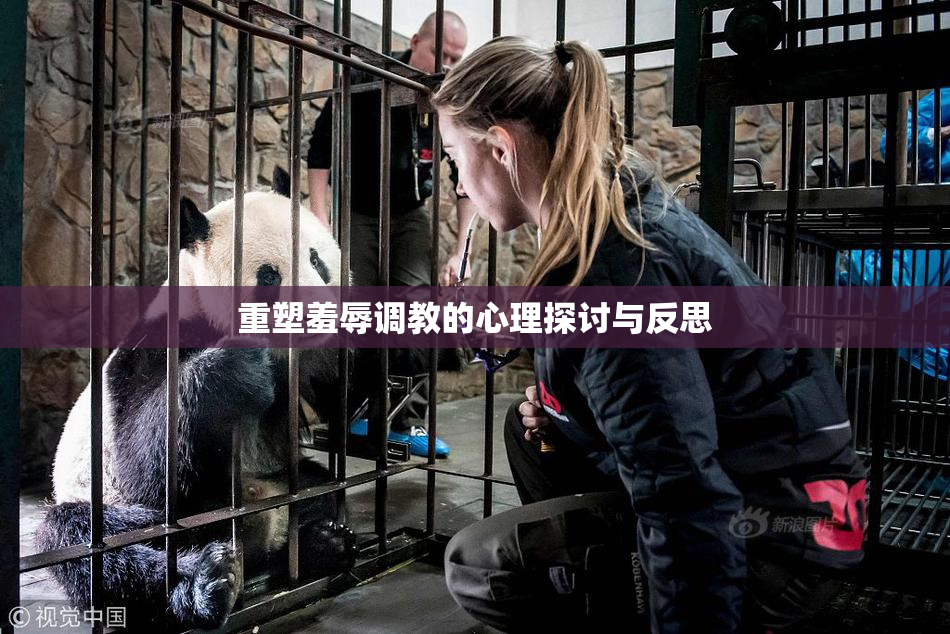 重塑羞辱调教的心理探讨与反思