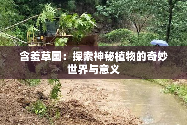 含羞草国：探索神秘植物的奇妙世界与意义