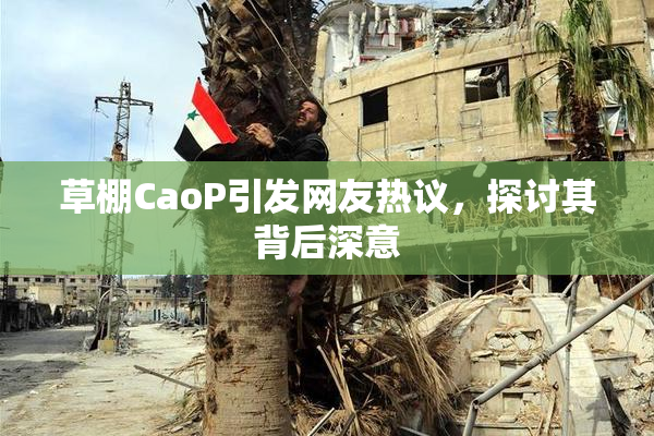 草棚CaoP引发网友热议，探讨其背后深意