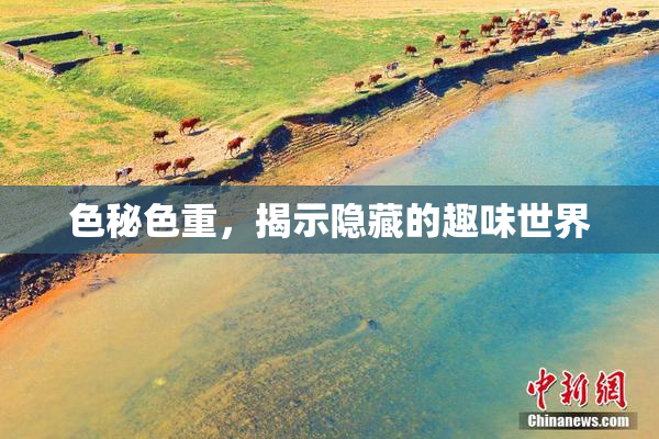 色秘色重，揭示隐藏的趣味世界