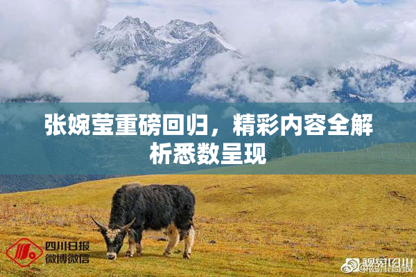 张婉莹重磅回归，精彩内容全解析悉数呈现