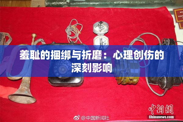 羞耻的捆绑与折磨：心理创伤的深刻影响
