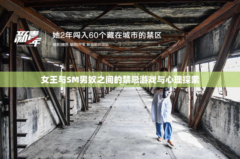 女王与SM男奴之间的禁忌游戏与心理探索