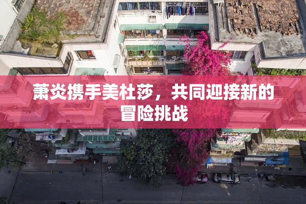 萧炎携手美杜莎，共同迎接新的冒险挑战