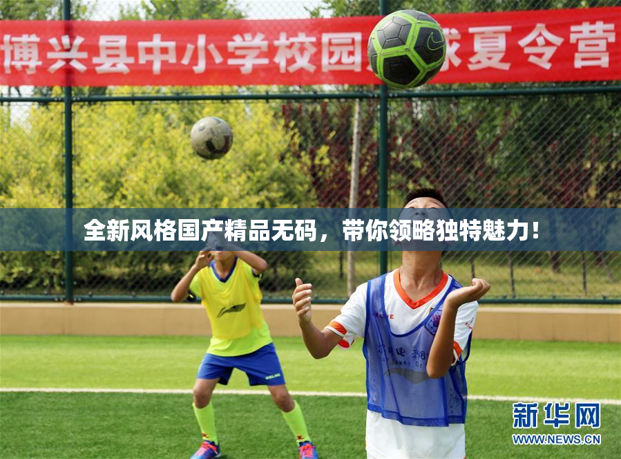 全新风格国产精品无码，带你领略独特魅力！