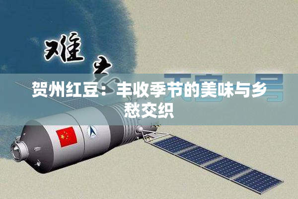 贺州红豆：丰收季节的美味与乡愁交织