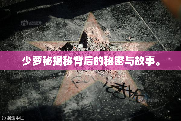 少萝秘揭秘背后的秘密与故事。