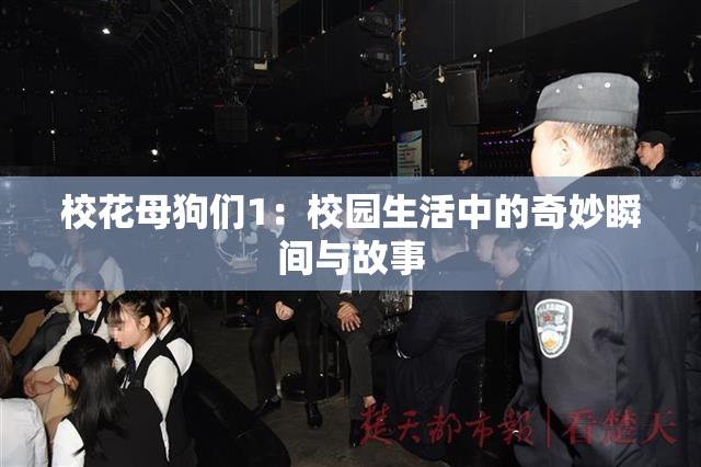 校花母狗们1：校园生活中的奇妙瞬间与故事