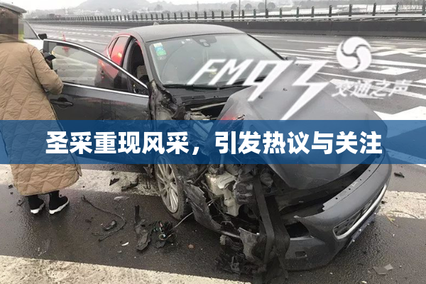 圣采重现风采，引发热议与关注