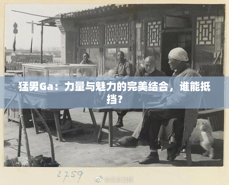 猛男Ga：力量与魅力的完美结合，谁能抵挡？
