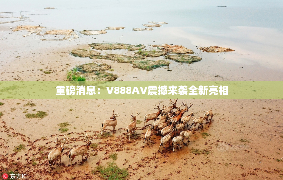 重磅消息：V888AV震撼来袭全新亮相