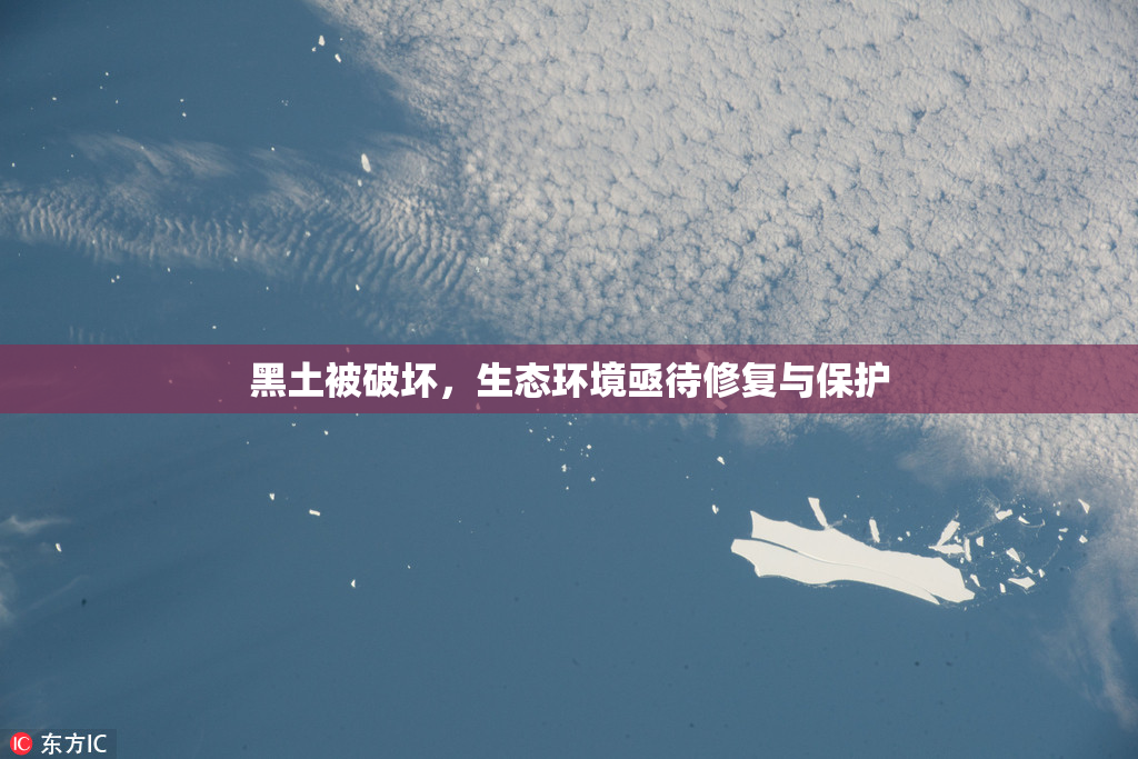 黑土被破坏，生态环境亟待修复与保护