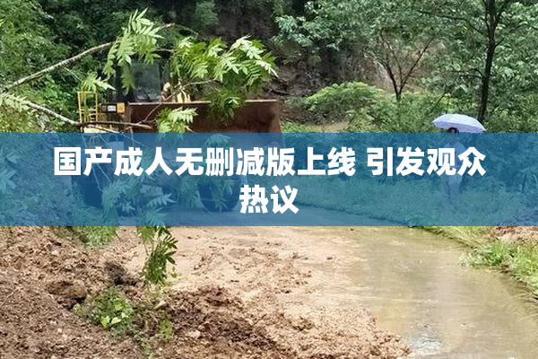 国产成人无删减版上线 引发观众热议
