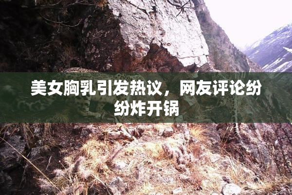 美女胸乳引发热议，网友评论纷纷炸开锅