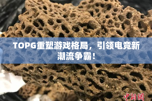 TOPG重塑游戏格局，引领电竞新潮流争霸！