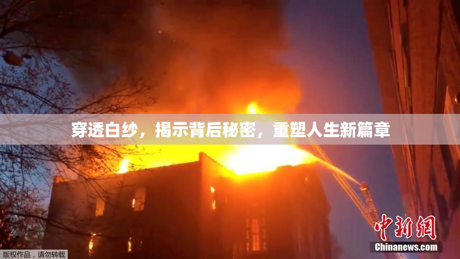 穿透白纱，揭示背后秘密，重塑人生新篇章