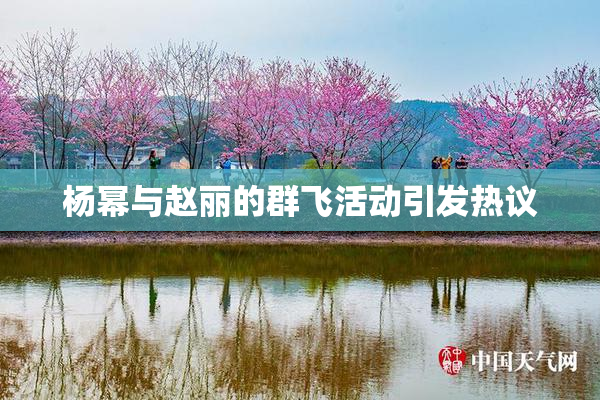 杨幂与赵丽的群飞活动引发热议