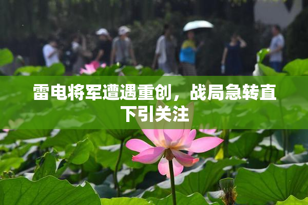 雷电将军遭遇重创，战局急转直下引关注