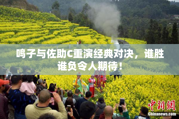 鸣子与佐助C重演经典对决，谁胜谁负令人期待！