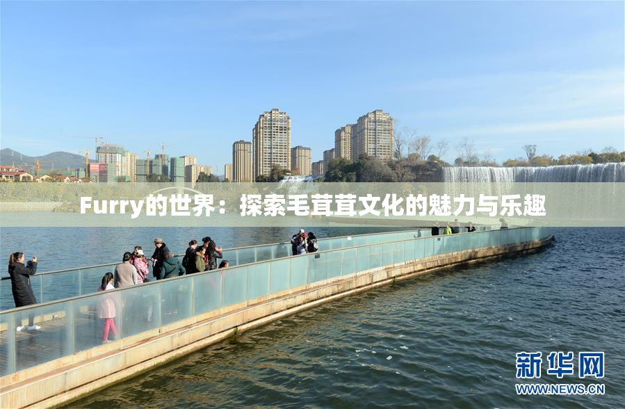 Furry的世界：探索毛茸茸文化的魅力与乐趣