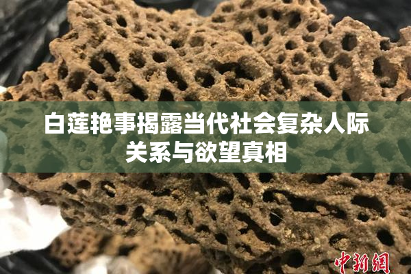 白莲艳事揭露当代社会复杂人际关系与欲望真相